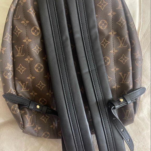 Medium Monogram Palm Springs Backpack - Picture 5 of 7